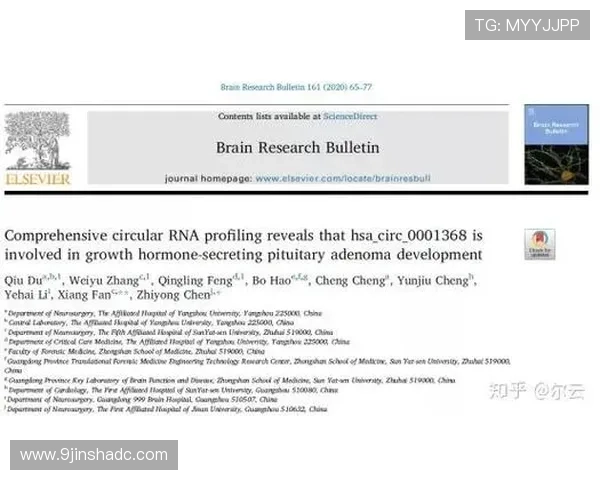 如何选择可靠的体育博彩公司？排名揭示真相